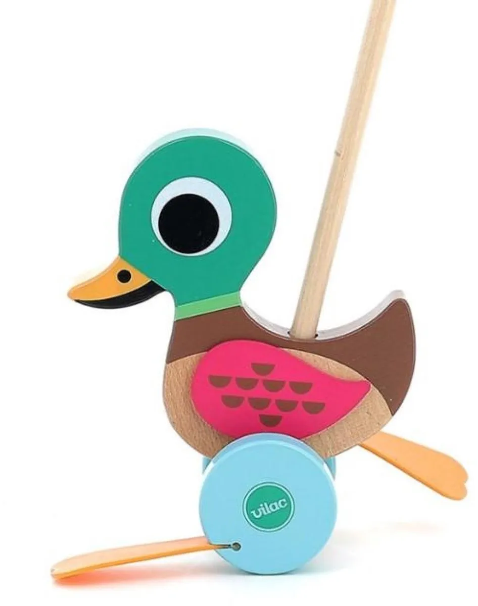 Vilac Houten Duweend - Multicolor