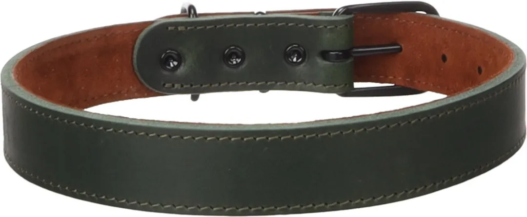 Flamingo Montana Halsband - Groen - 53-63cm