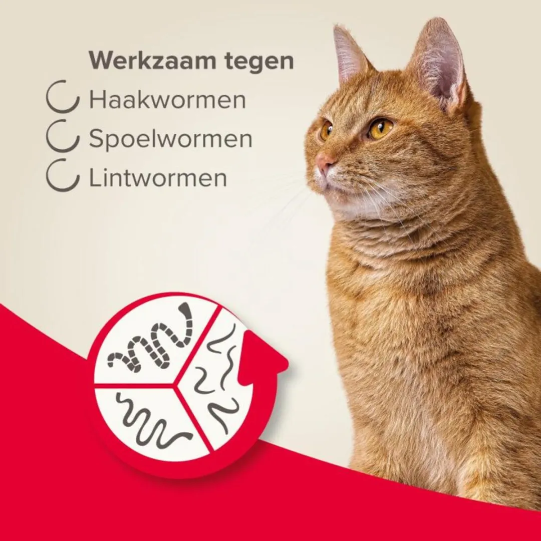 Beaphar All-in-one Ontworming Tabletten Kat - 20 Stuks