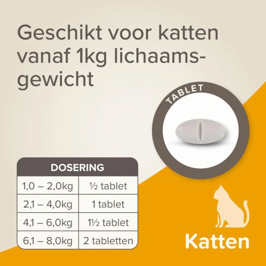 Beaphar All-in-one Ontworming Tabletten Kat - 20 Stuks