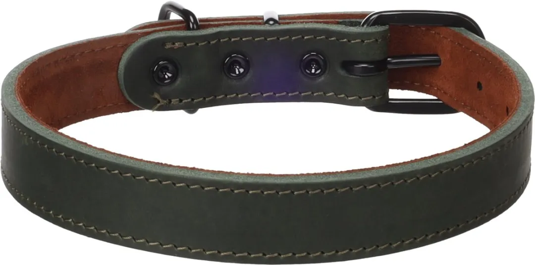 Flamingo Montana Halsband - Groen - Maat L