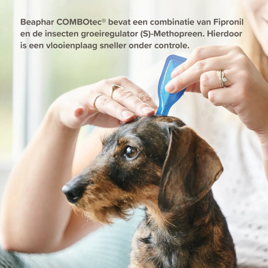 Beaphar Combotec Anti Vlooien & Teken Druppels Hond 10-20 kg - 2 Pipetten