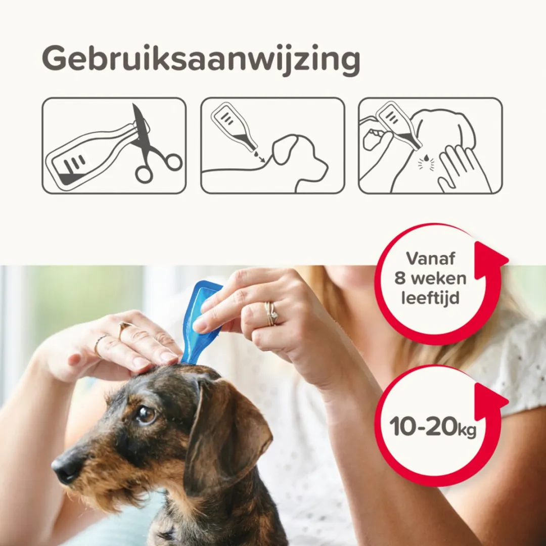 Beaphar Combotec Anti Vlooien & Teken Druppels Hond 10-20 kg - 2 Pipetten