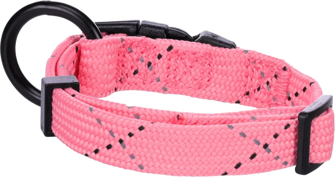Flamingo Hond Halsband Puppy Dolly Roze XXS