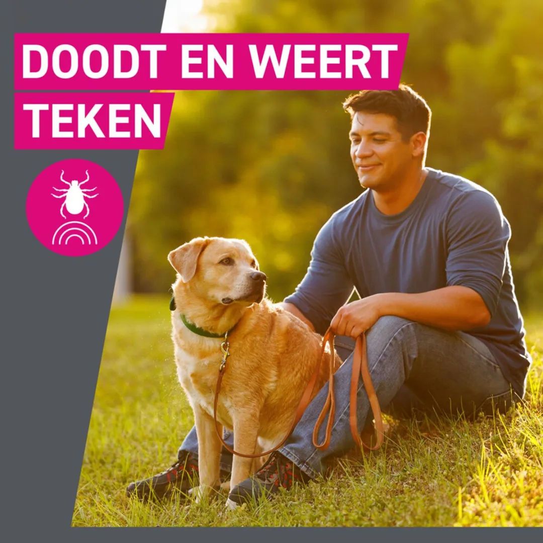 Frontline Tri-Act Anti Vlooien & Teken Druppels S - 2x3 Pipetten