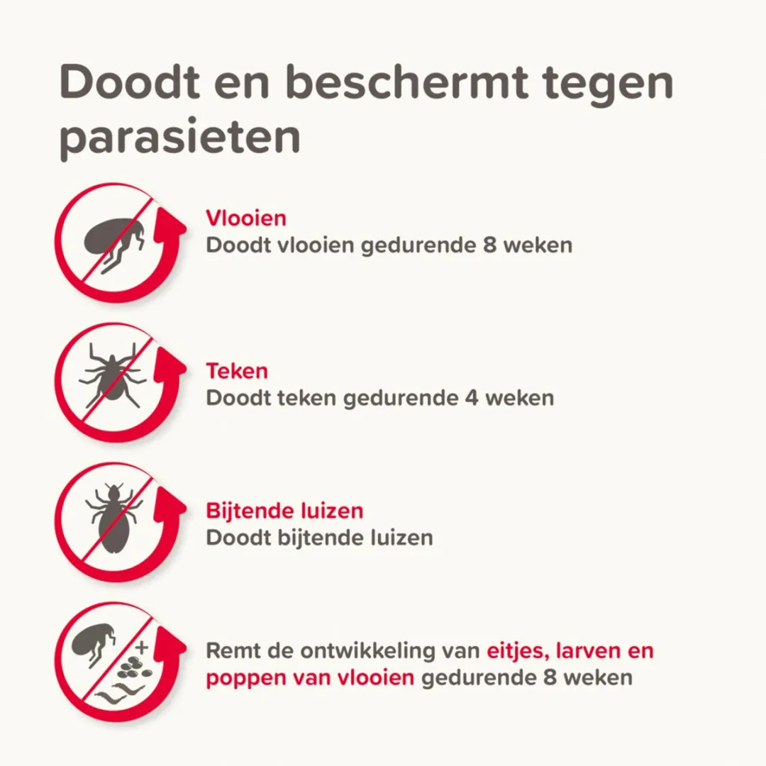 Beaphar Combotec Anti Teken- en Vlooiendruppels Hond 20-40kg - 2 Pipetten