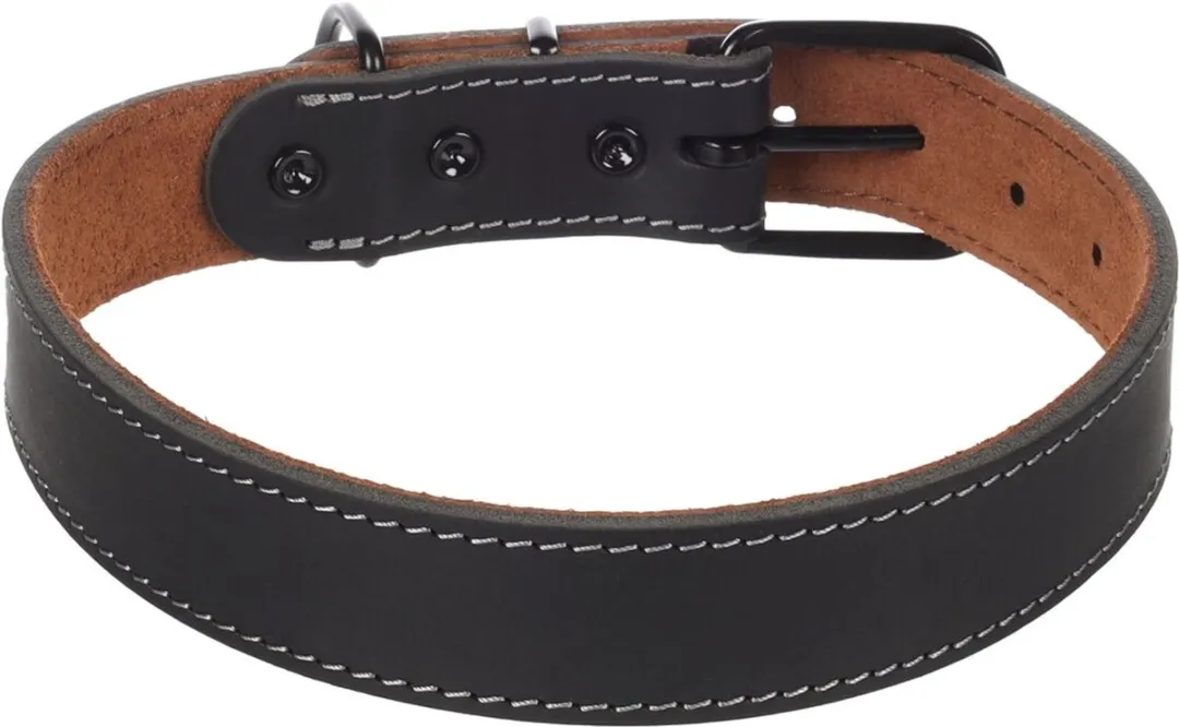 Flamingo Hond Halsband Montana Zwart XL