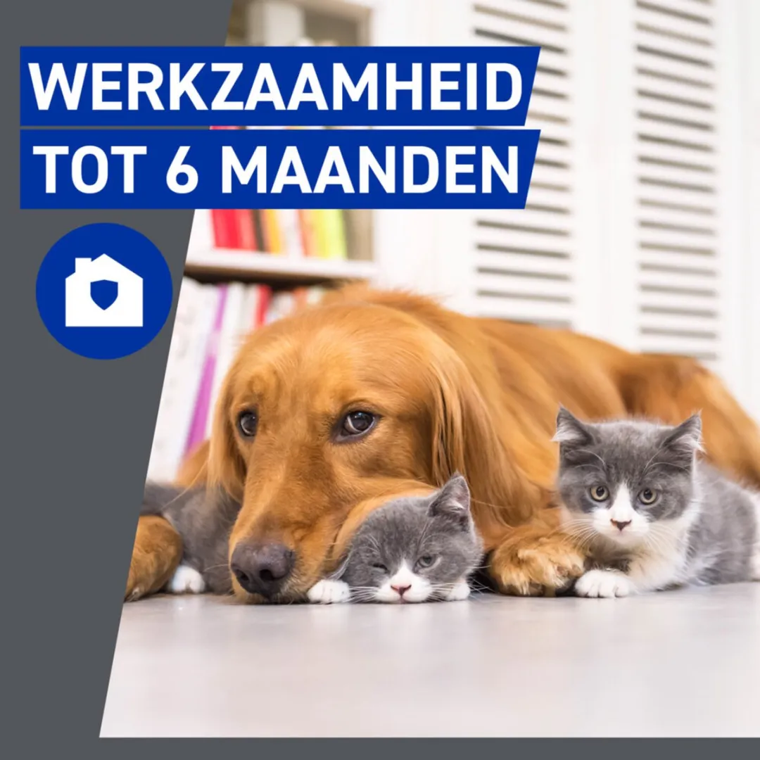 Frontline Homegard Anti Vlooien Omgevingsspray 1000ml