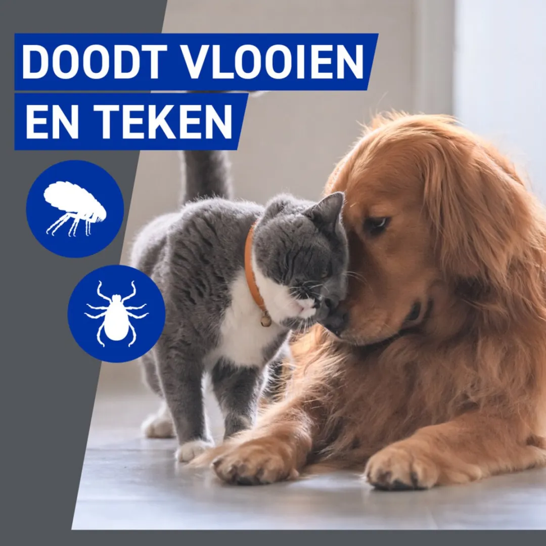 Frontline Homegard Anti Vlooien Omgevingsspray 1000ml