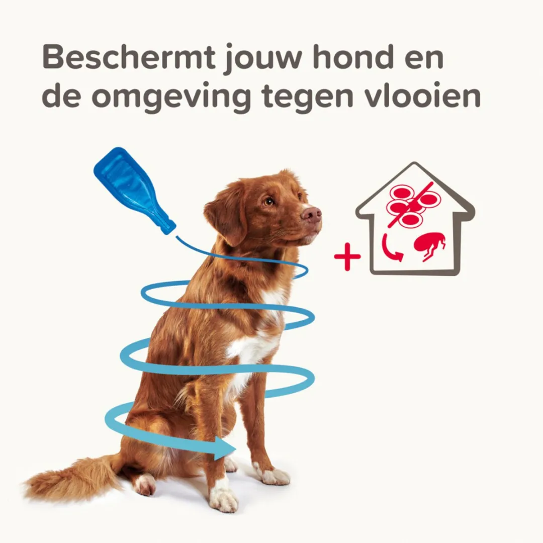 Beaphar Combotec Anti Teken- en Vlooiendruppels Hond 2-10 kg - 2 Pipetten