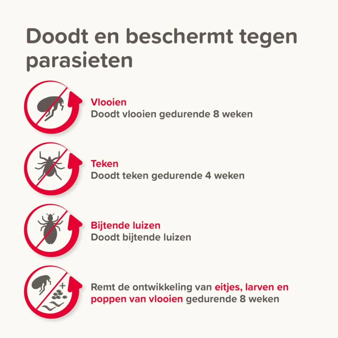 Beaphar Combotec Anti Teken- en Vlooiendruppels Hond 2-10 kg - 2 Pipetten