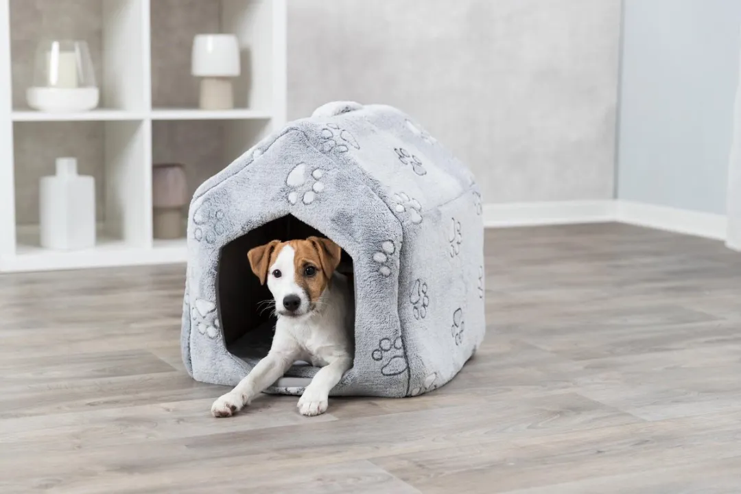 Trixie Hondenmand Kattenmand Nando - Lichtgrijs - afbeelding 4 van 6