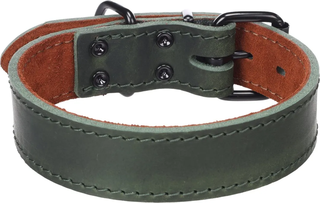 Flamingo Montana Halsband Hond - Groen - M