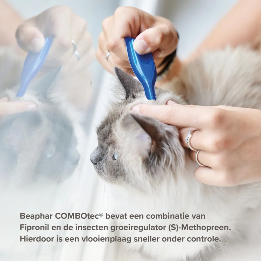 Beaphar Combotec Anti Vlooien Teken Druppels Kat/Fret - 2 Pipetten