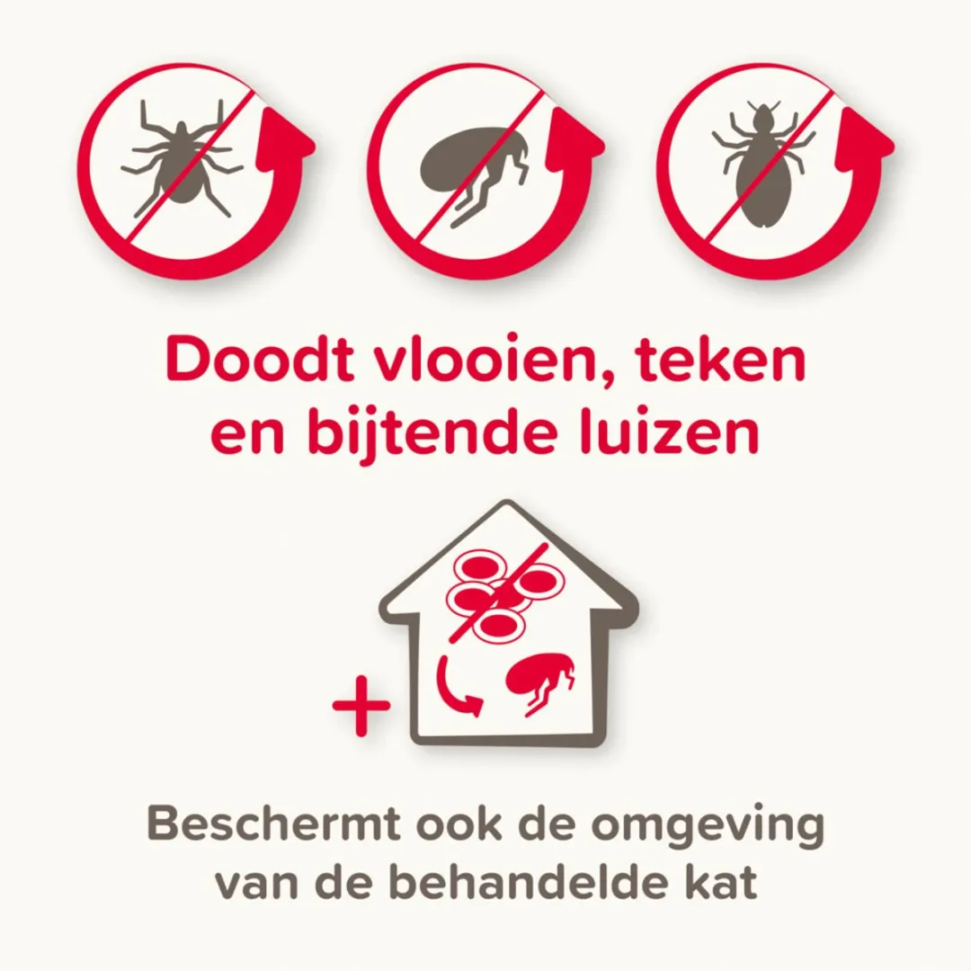 Beaphar Combotec Anti Vlooien Teken Druppels Kat/Fret - 2 Pipetten