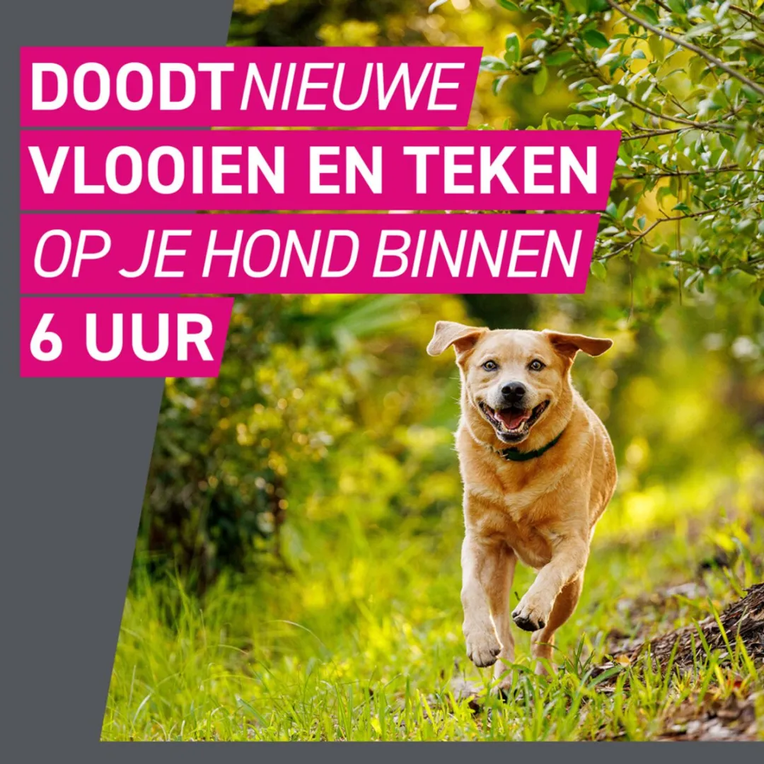 Frontline Tri-Act Anti Vlooien & Teken Druppels XL - 2x3 Pipetten