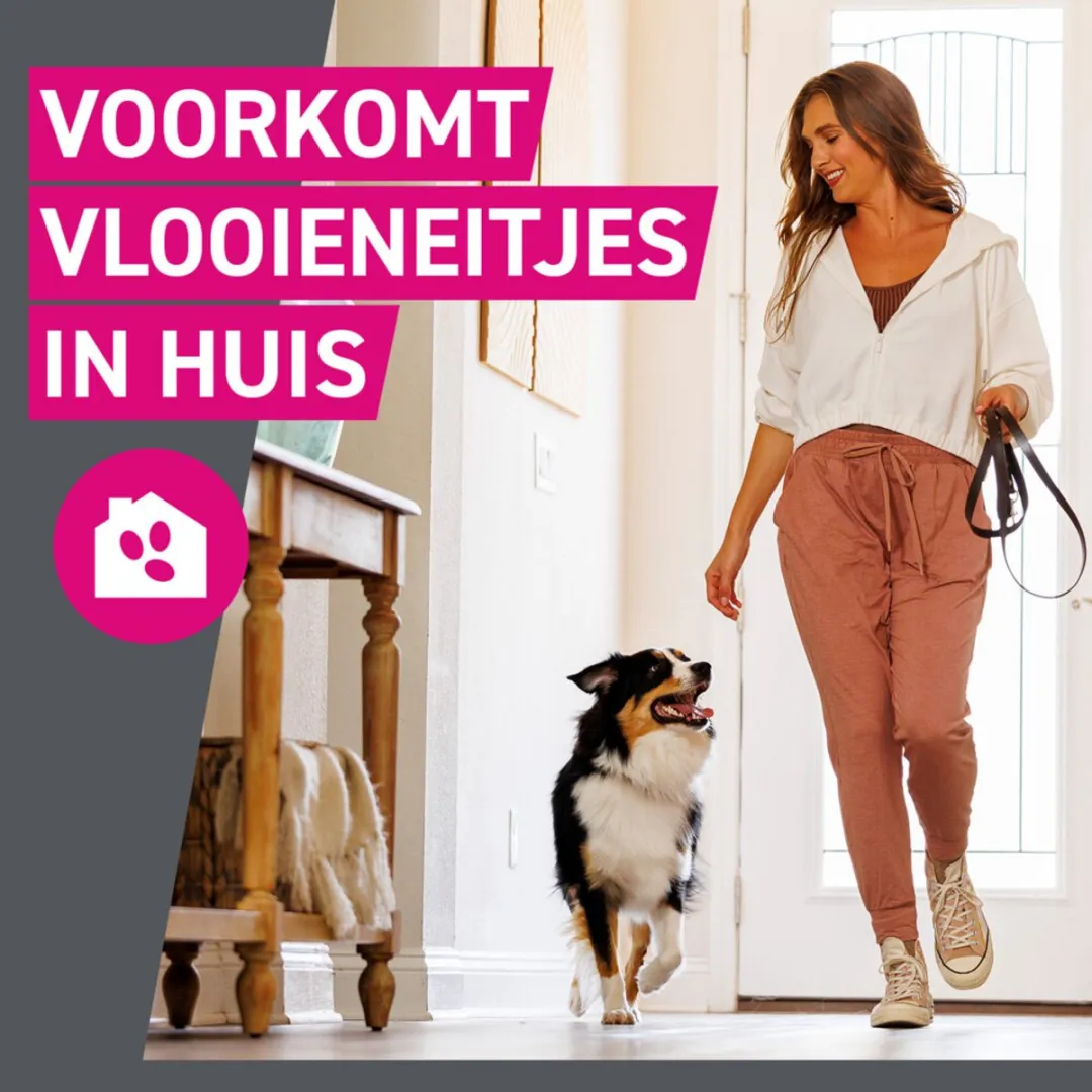 Frontline Tri-Act Anti Vlooien & Teken Druppels XL - 2x3 Pipetten