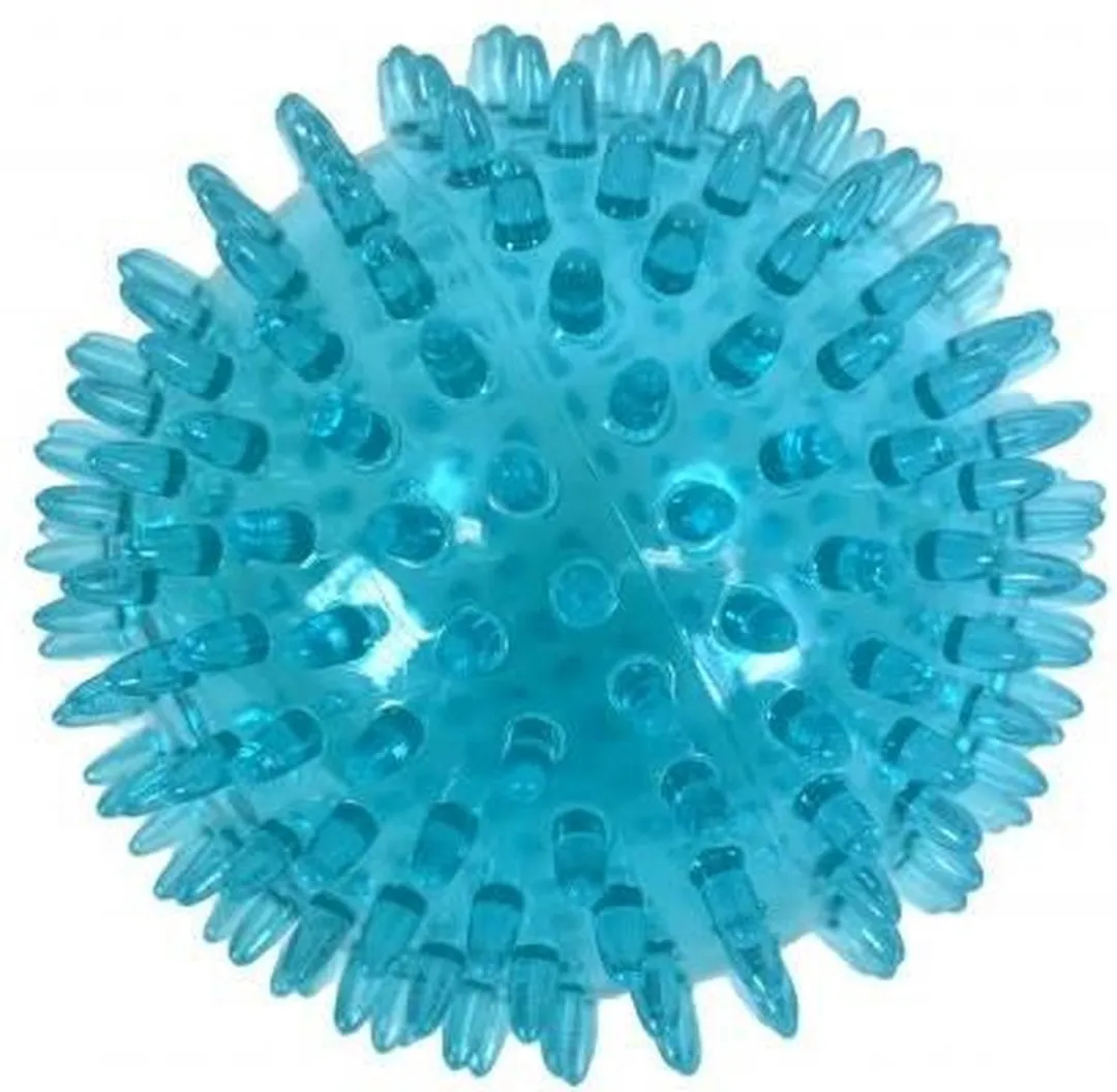 Zolux Pop TPR Stekelbal Turquoise