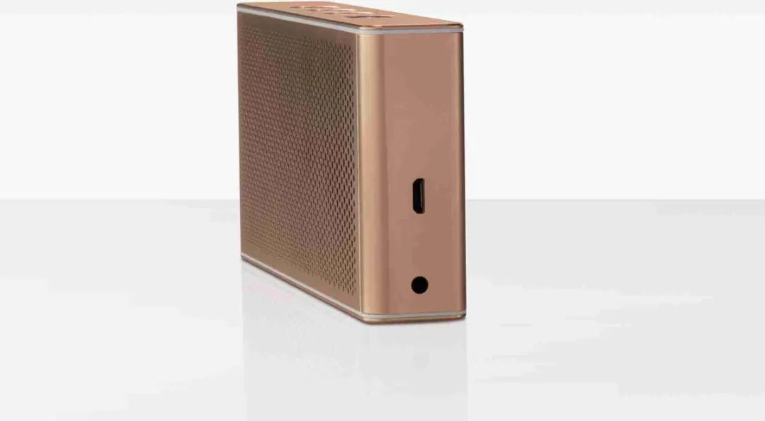 Loewe Klang M1 Draadloze Luidspreker - Roségoud