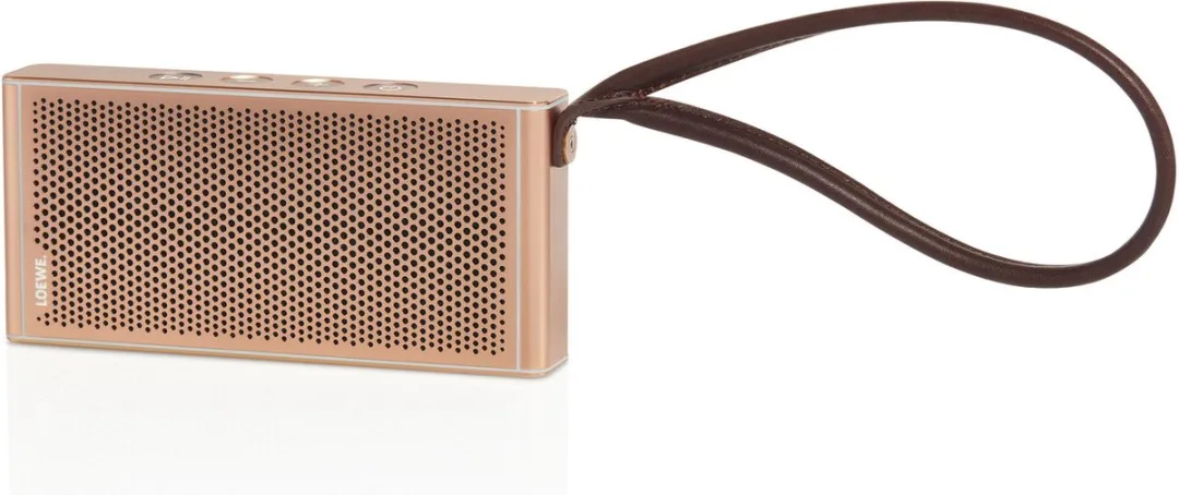 Loewe Klang M1 Draadloze Luidspreker