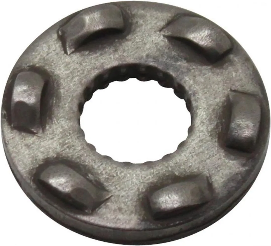 Olympia Rocher Kickmoer Piaggio 125 Zeskant