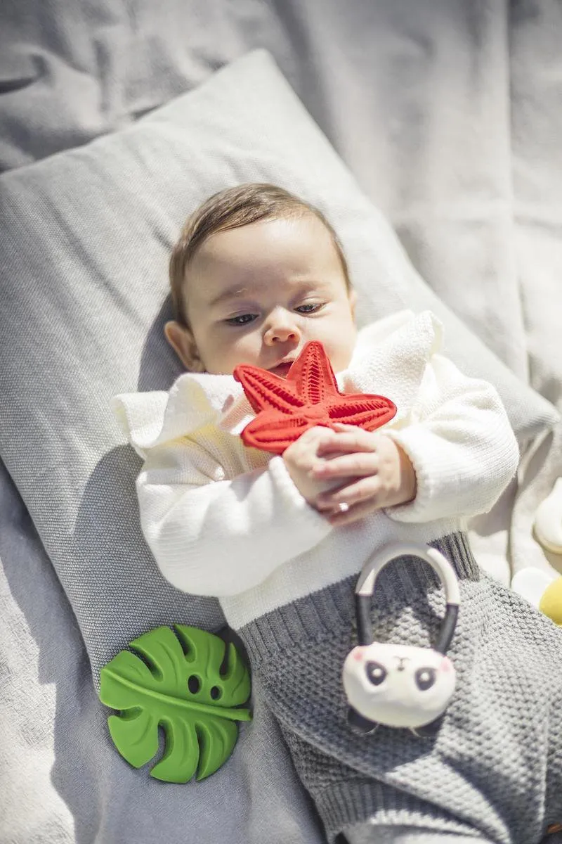 Lanco Sensory Bijtspeeltje Zeester Rood