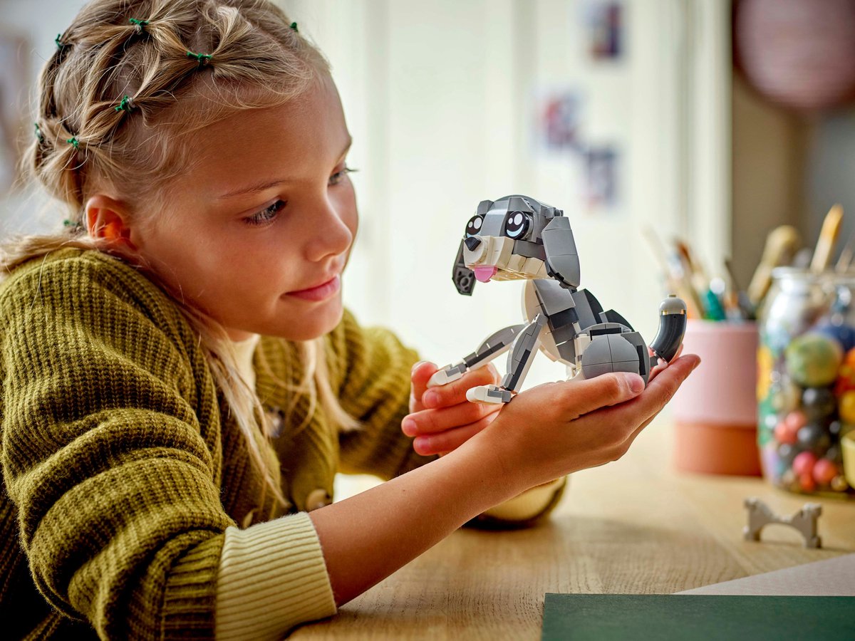 LEGO Creator 3in1 Speelse kat dieren - 31163