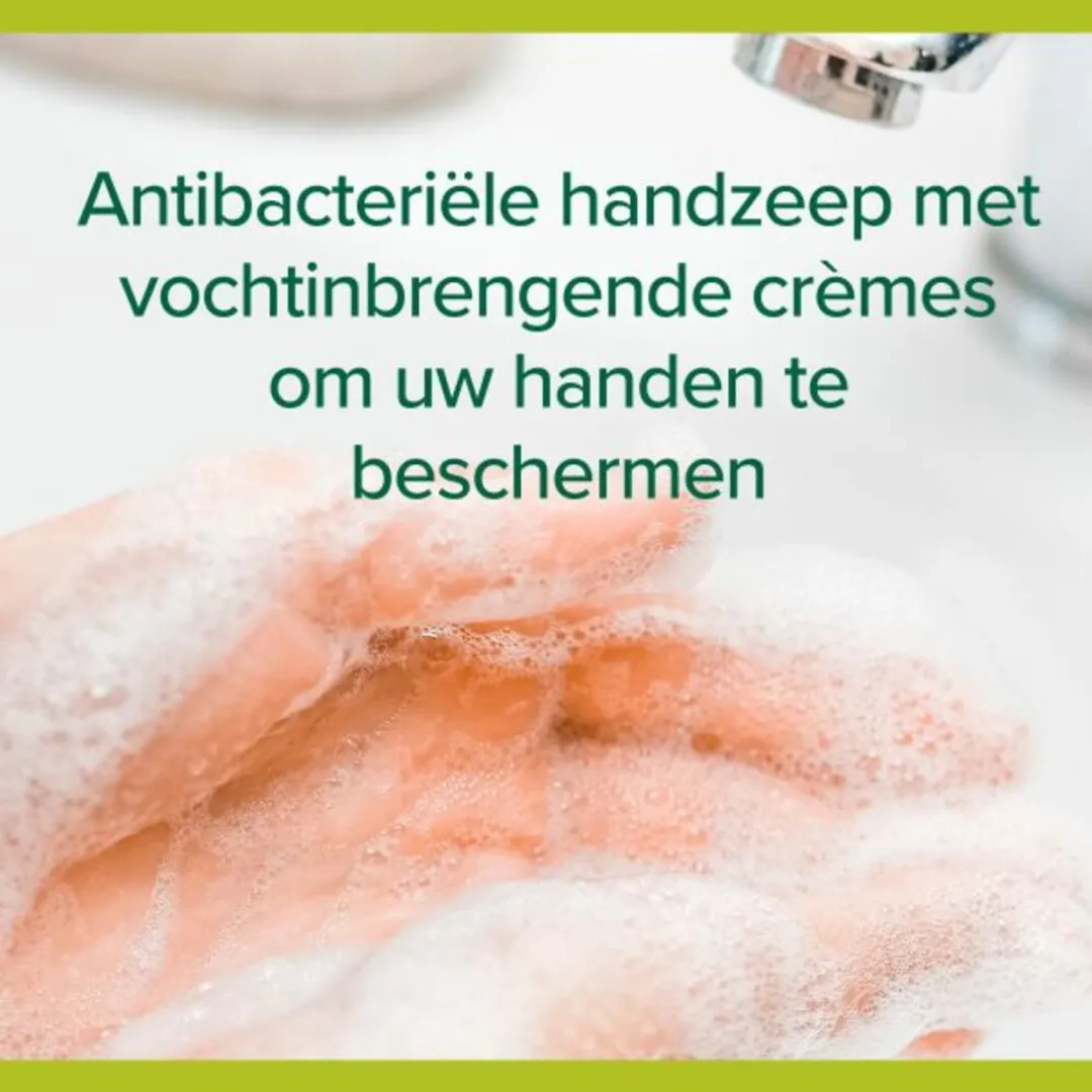 Palmolive Hygiëne Plus Family Handzeep 300ml - 20 Stuks