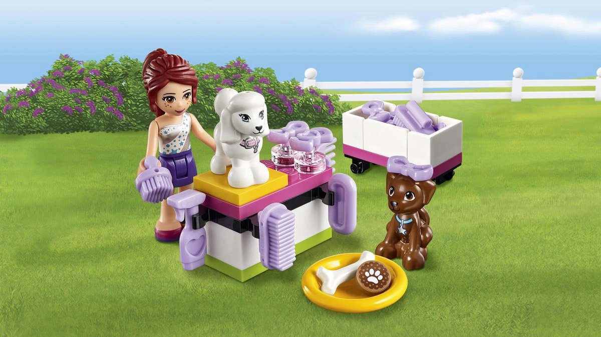 LEGO Friends Puppy Kampioenschap - 41300