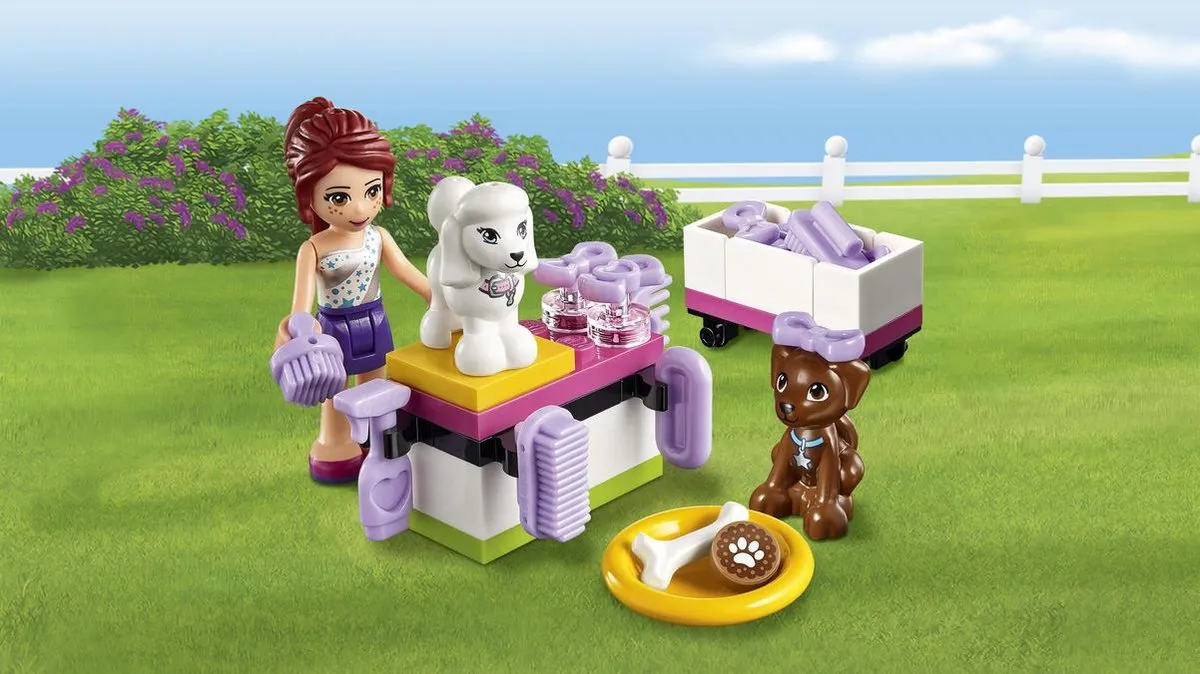 LEGO Friends Puppy Kampioenschap 41300 - 3 Minifiguren