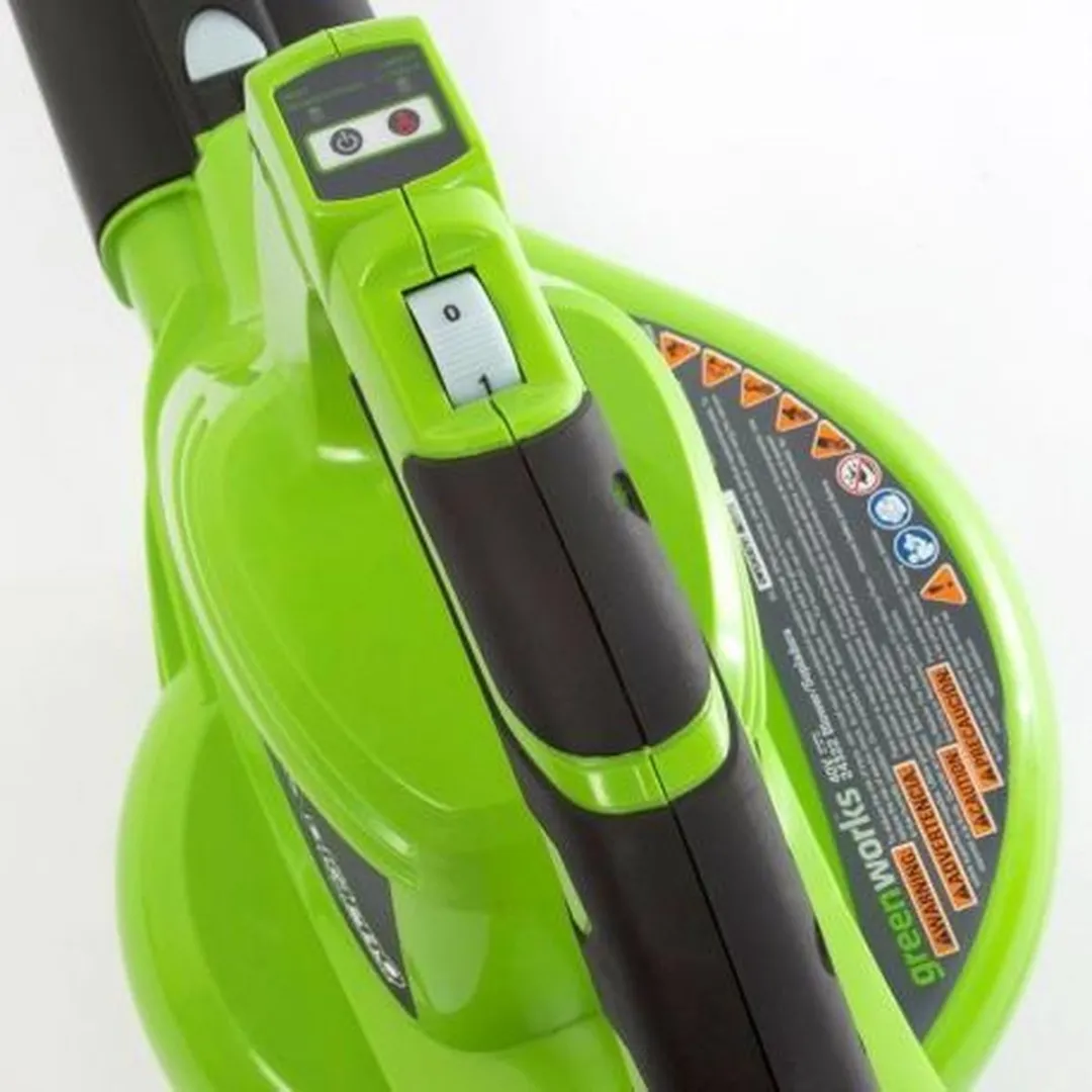 Greenworks Bladblazer/-zuiger 40 V groen