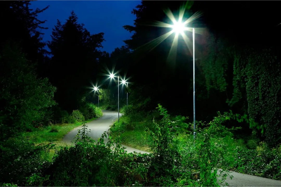 Philips TrueForce LED E27 13W Koelwit Mat - 50W Equivalent