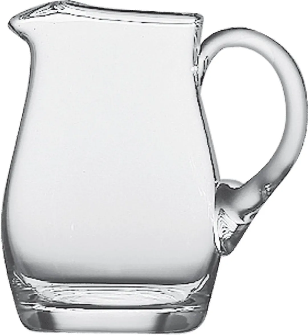 Schott Zwiesel Bistro Waterkan IN140258