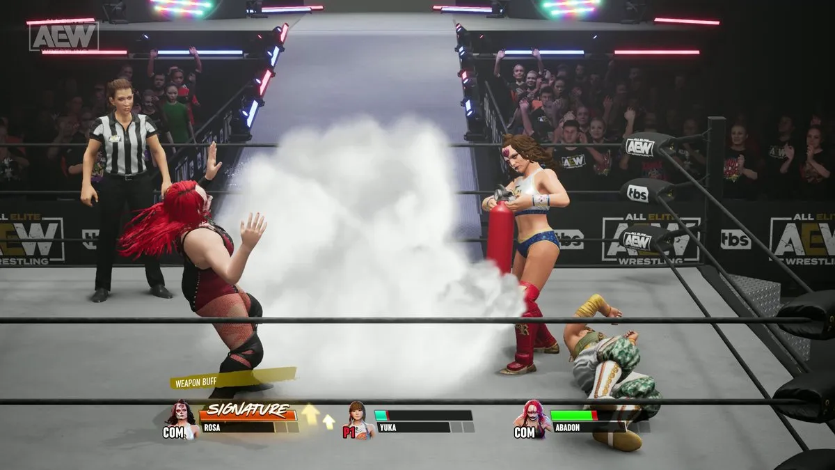 THQ Nordic AEW All Elite Wrestling Fight Forever - Nintendo Switch