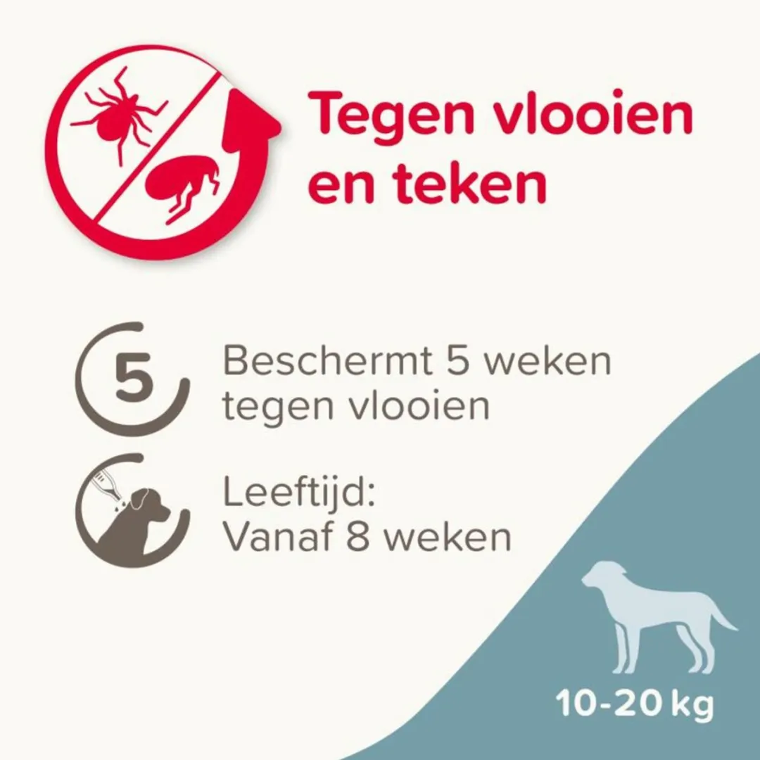 Beaphar Fiprotec Anti Teken- en Vlooiendruppels Hond 10-20kg - 2x4 Stuks