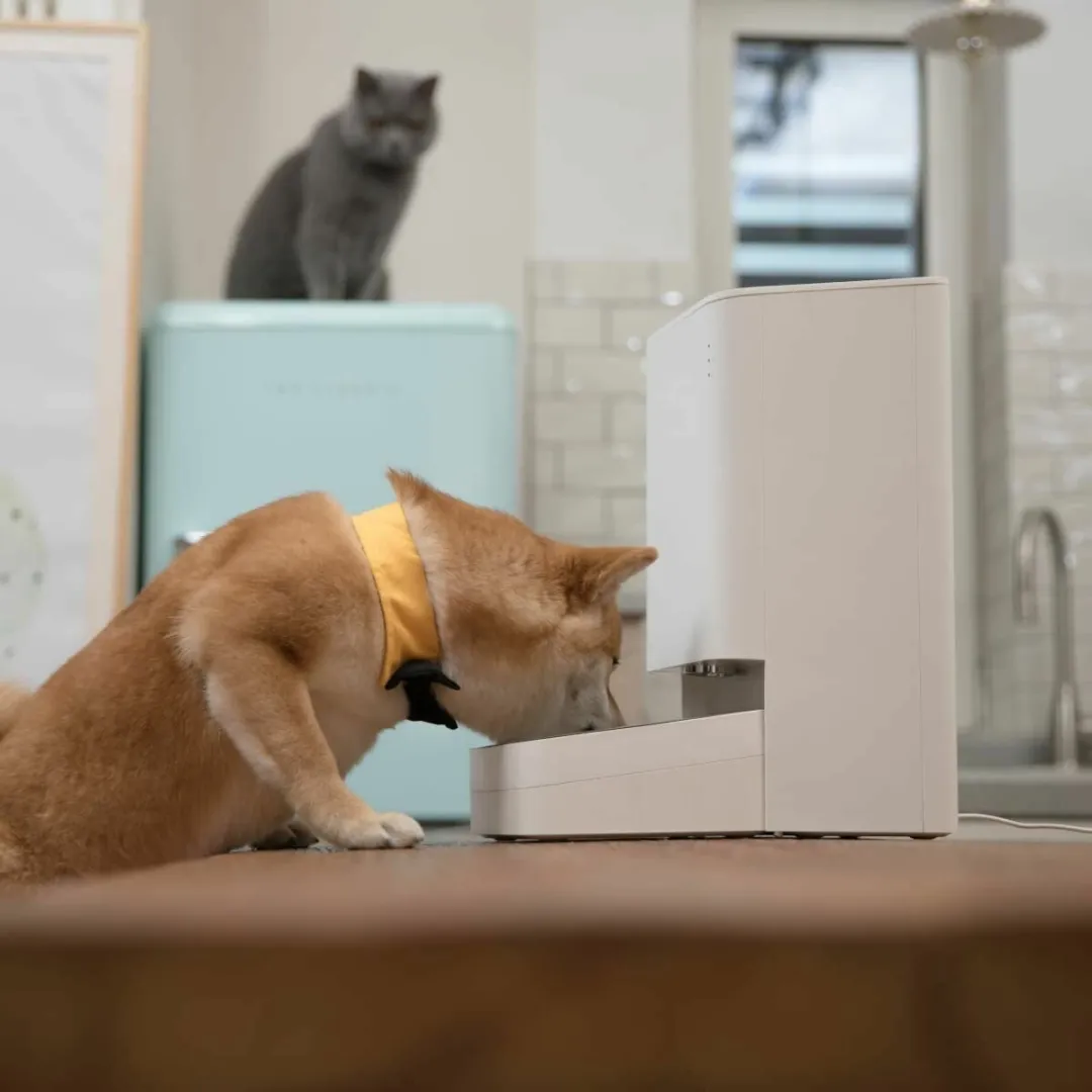 Xiaomi Smart Pet Food Feeder 1,8 kg - Wit - afbeelding 2 van 6