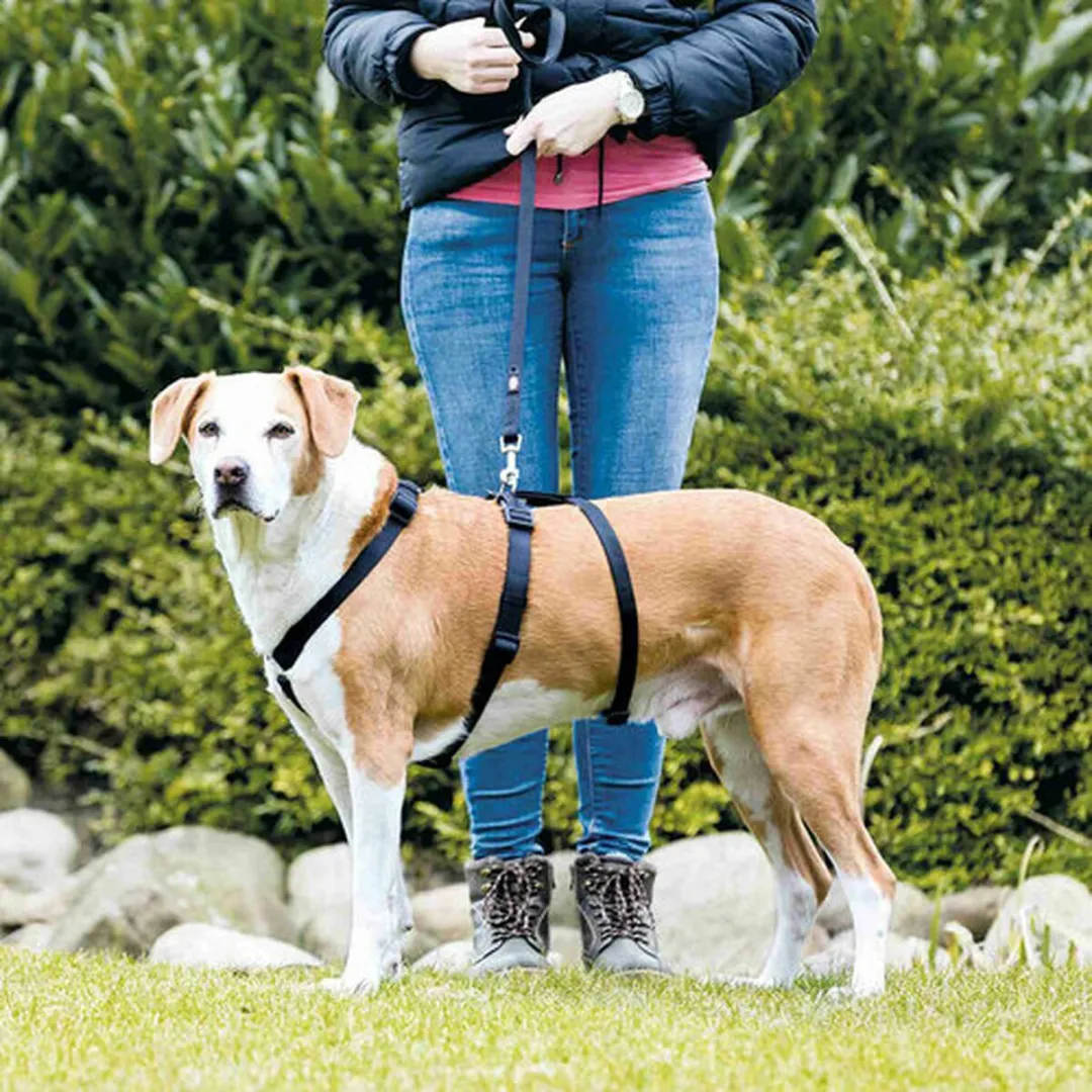 Trixie Stay Hondentuig - XS/S - Blauw - afbeelding 3 van 6