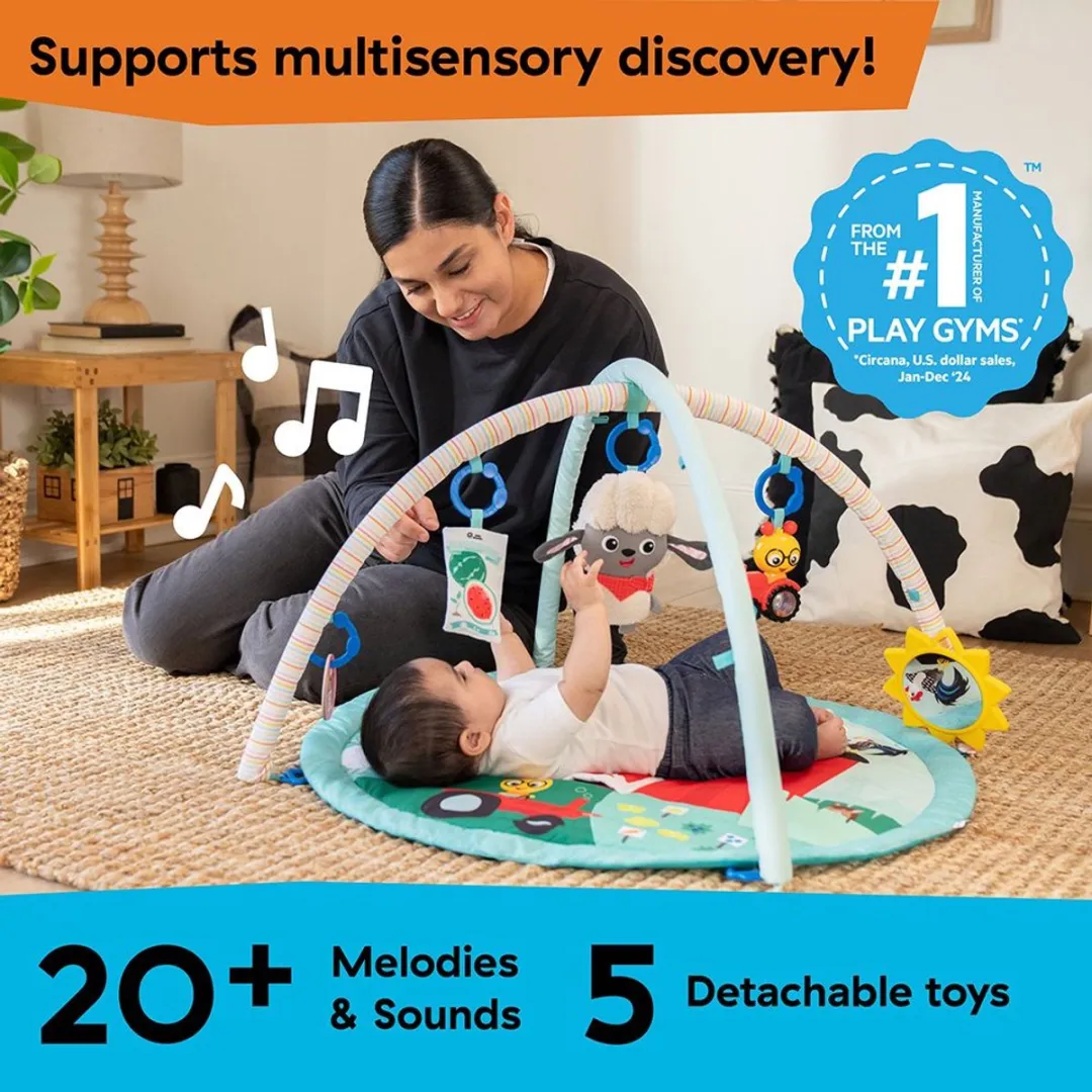 Baby Einstein Activity Gym Happy Harvest - Multicolor