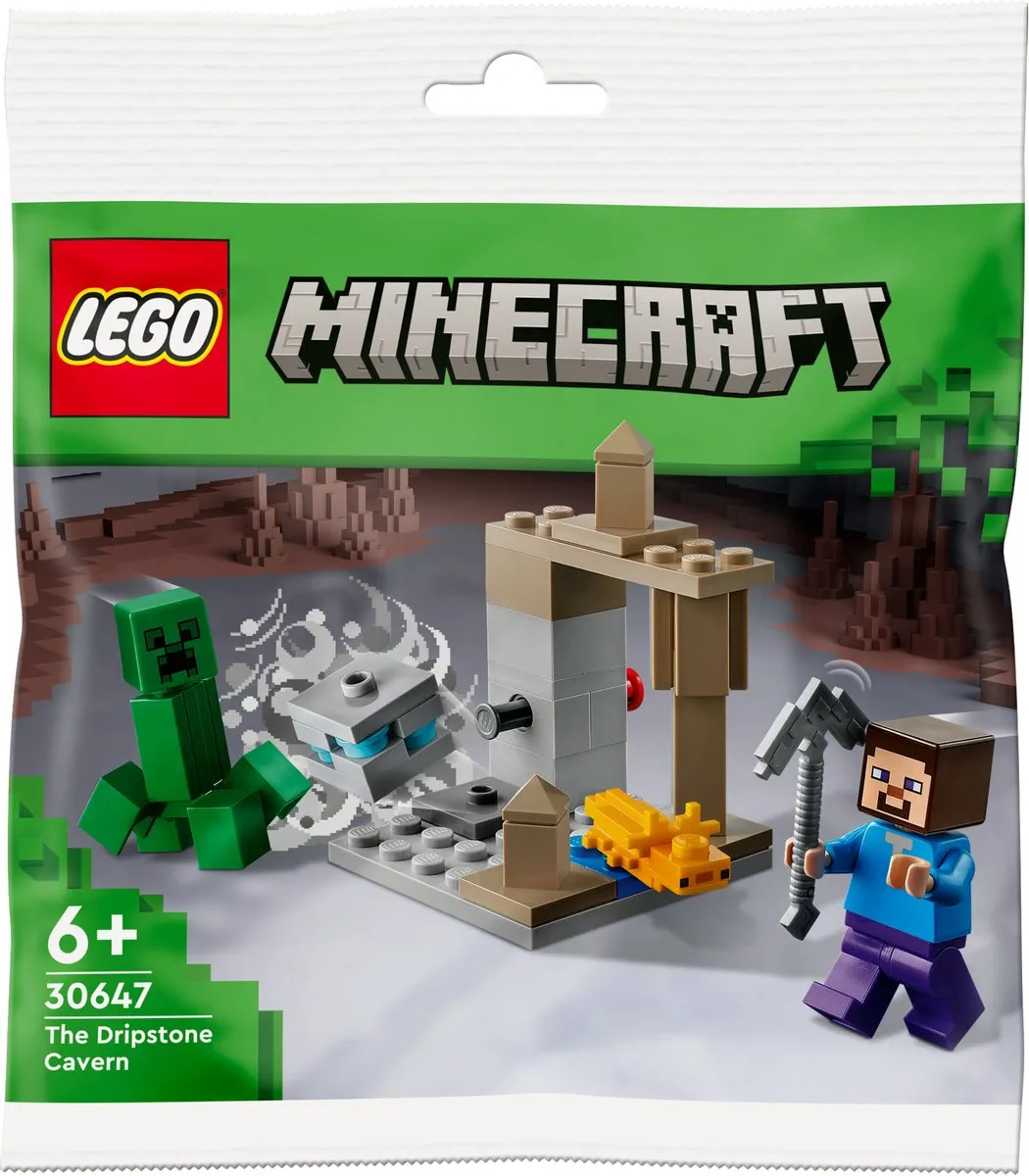 LEGO Minecraft De Druipsteengrot 38 Stuks