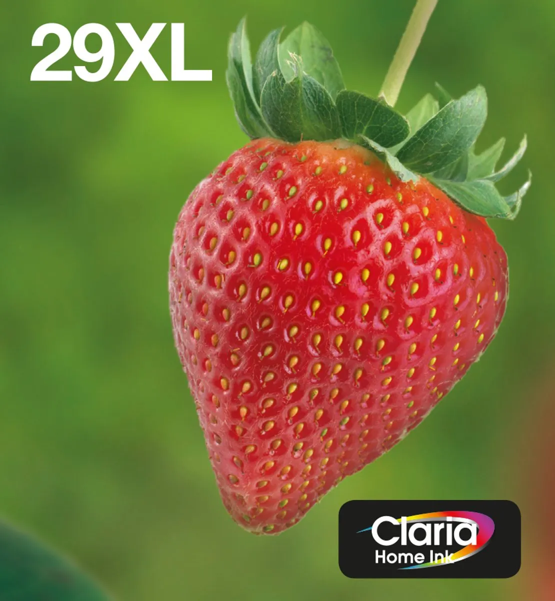 Epson Claria Home Ink 29XL C13T29964511 - 470 pagina's