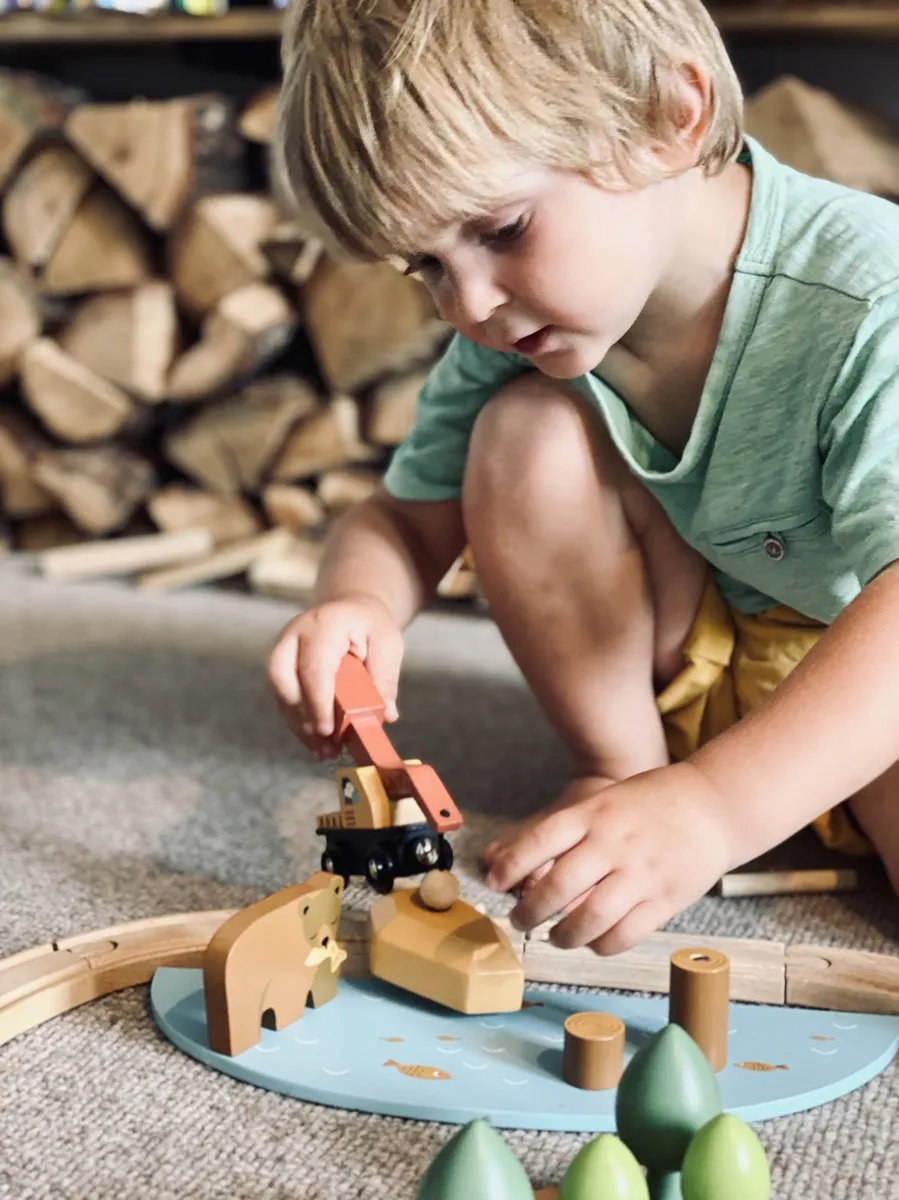 Tender Leaf Toys Wild Pines Treinset