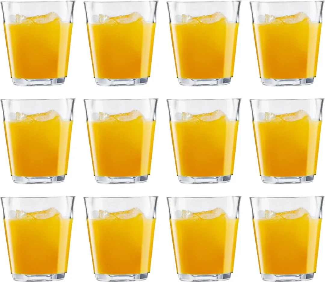Eva Solo Glas 250ml Set van 12