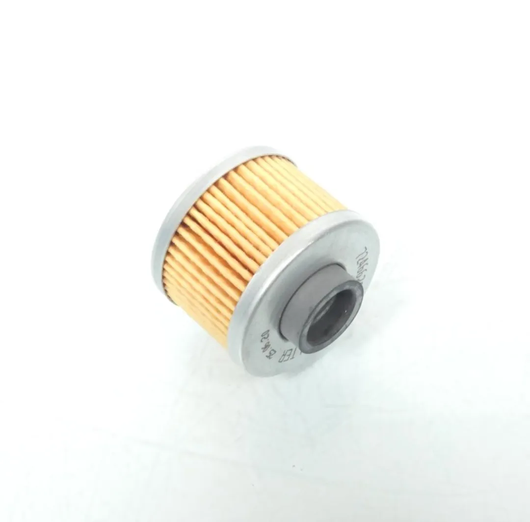 Peugeot Oliefilter Satelis City 125 2006-2009