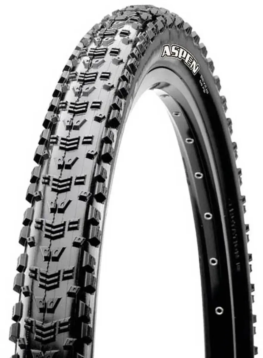 Maxxis Aspen Band 29x2.10 MaxxPro EXO - Zwart