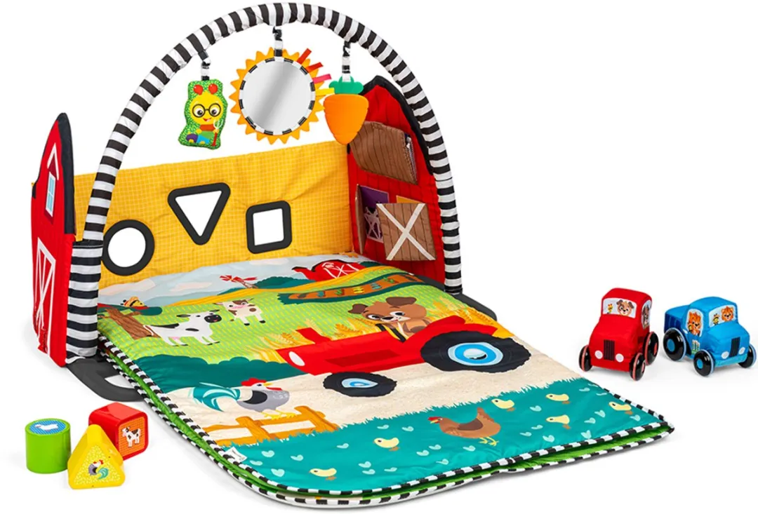 Baby Einstein Meegroei Activity Gym Busy Barnyard