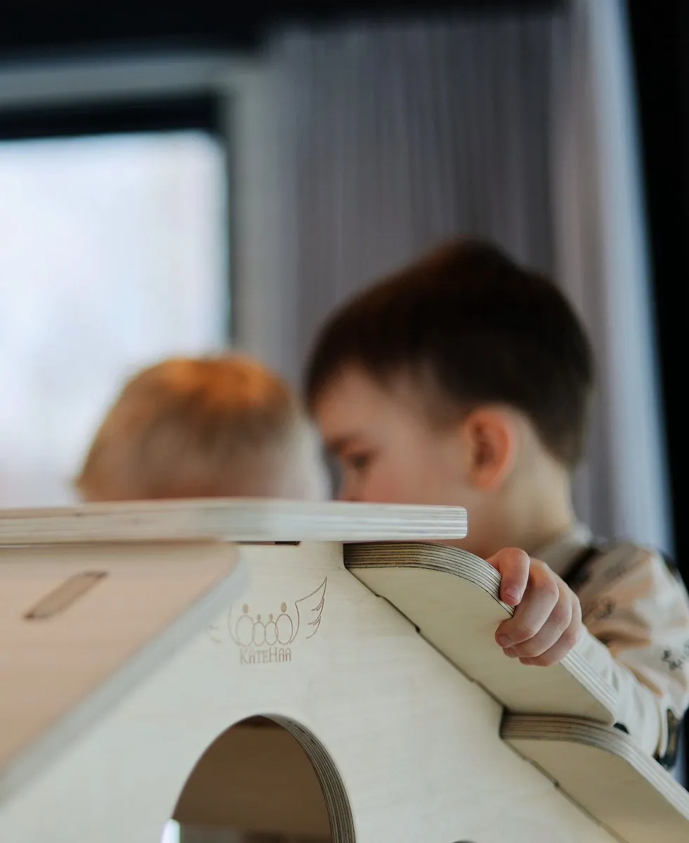 Eduplay Montessori Houten Speelhuisje met Glijbaan - afbeelding 6 van 6