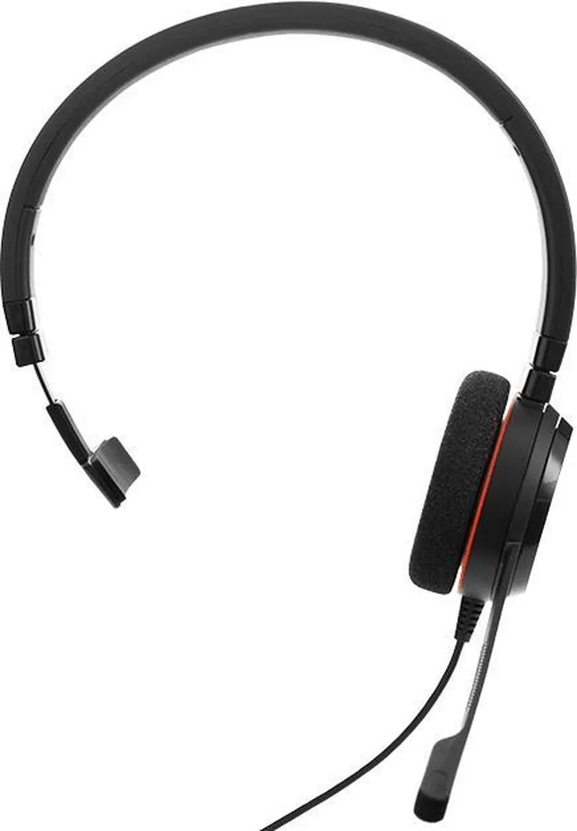Jabra Evolve 20 4993-823-189 Headset - USB-C - Zwart