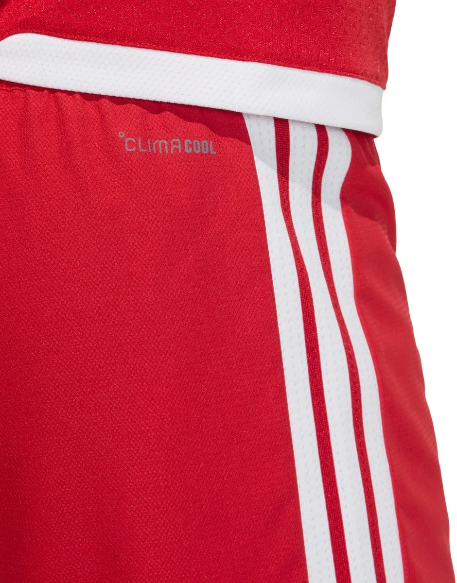 Adidas Tiro 26 Competition Match Herenshort M - Rood