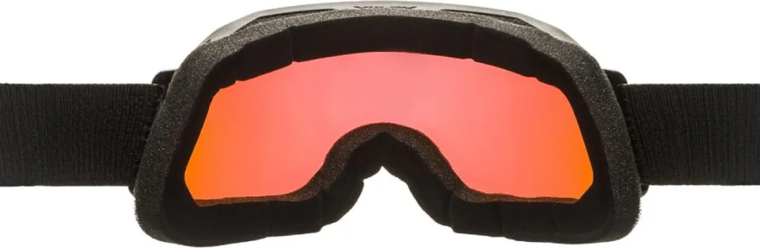 Alpina Blackcomb Q OTG Skibril - Groen Zwart