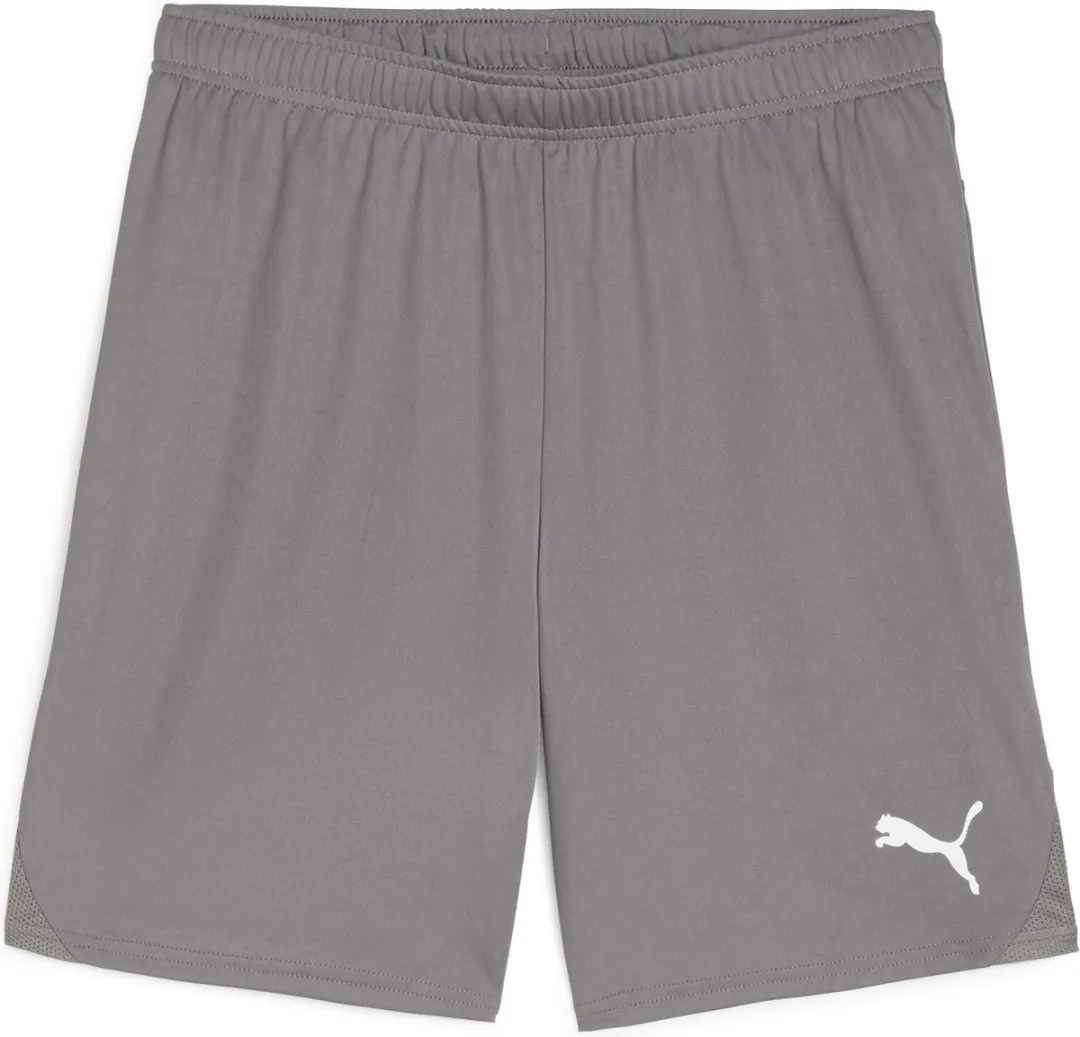 PUMA TeamGOAL Trainingsbroek Heren S